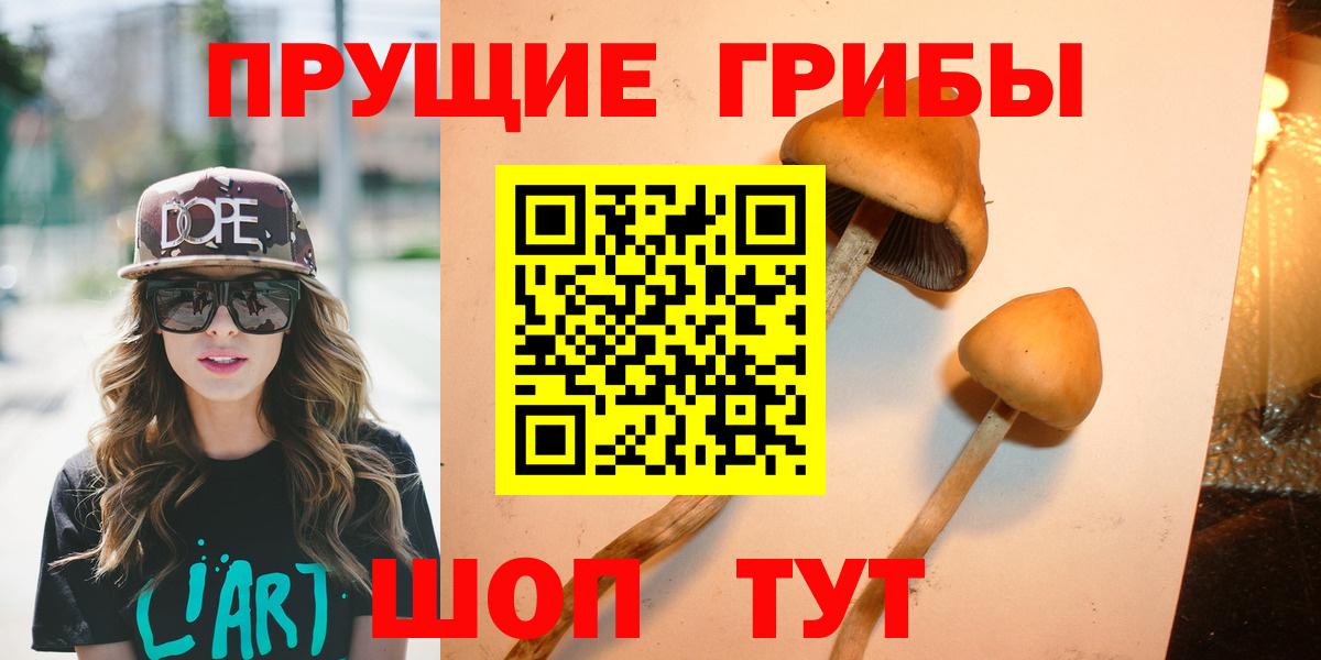 Шарыпово  Галлюциногенные грибы Psilocybe  Галлюциногенные грибы мухоморы  Вход с VPN 
